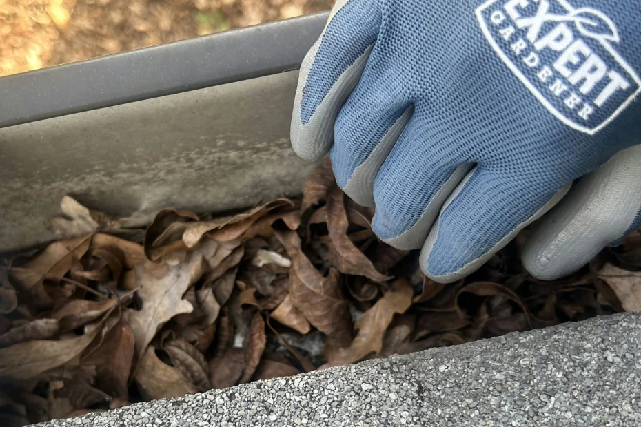 Flower Mound Gutter Cleaning